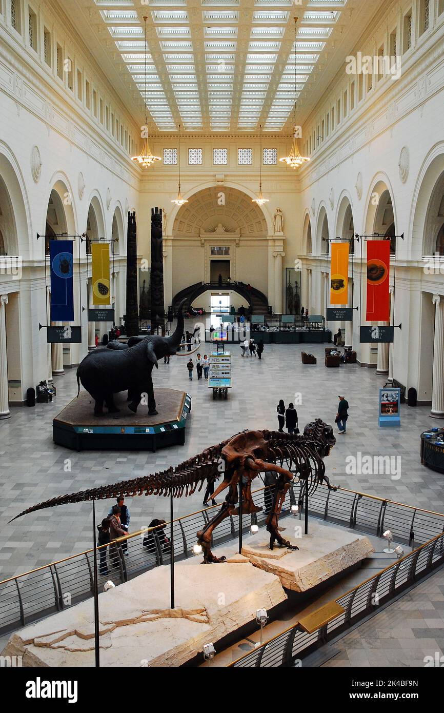 Il T Rex sue, il più completo Tyrannosaurus Rex da scoprire, ha un posto di rilievo nella lobby del Field Museum of Natural History Chicago Foto Stock