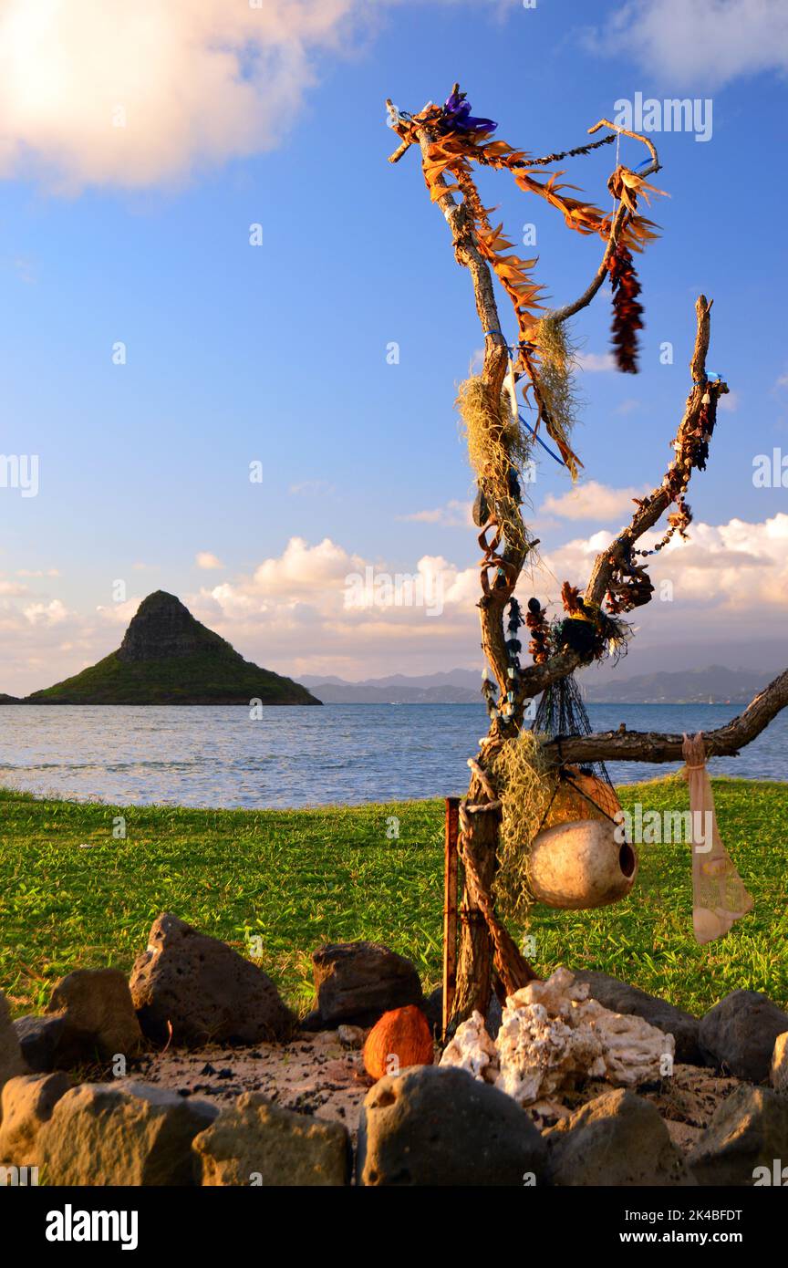 La tradizione hawaiana afferma che i leis non devono essere gettati via, ma restituiti alla terra appesi su un ramo di albero, come si vede qui in vista di Mokoli'i. Foto Stock