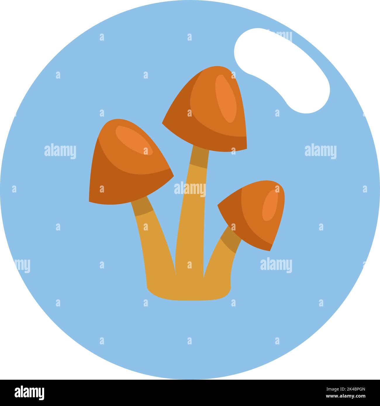 Funghi arancioni, illustrazione, vettore su sfondo bianco. Illustrazione Vettoriale