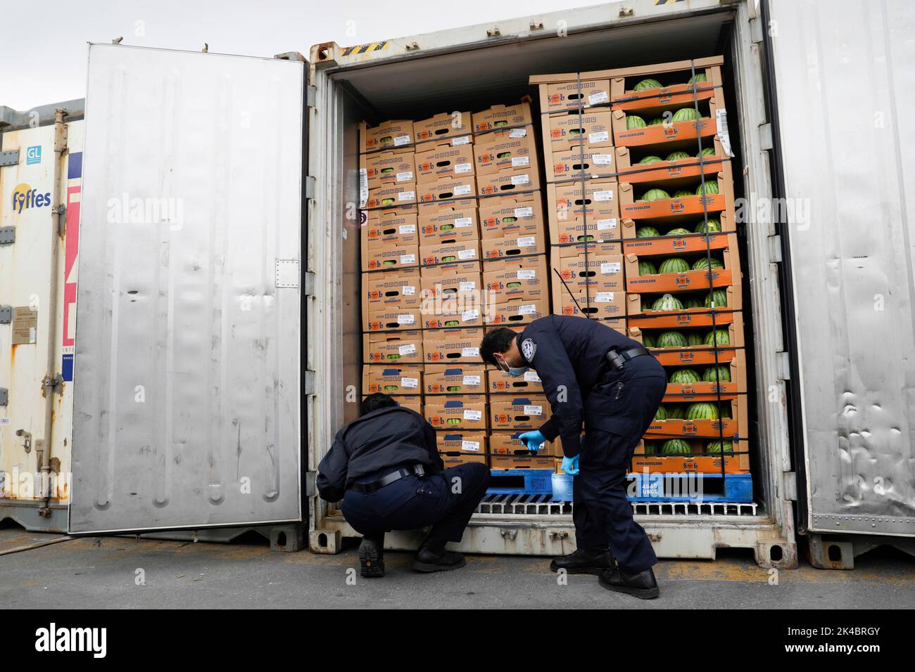 U.S. Customs and Border Protection Office of Field Operations gli specialisti agricoli ispezionano le spedizioni di frutta in arrivo ai terminali Penn di Eddystone, Pa., 16 aprile 2020. Foto CBP di Glenn Fawcett Foto Stock