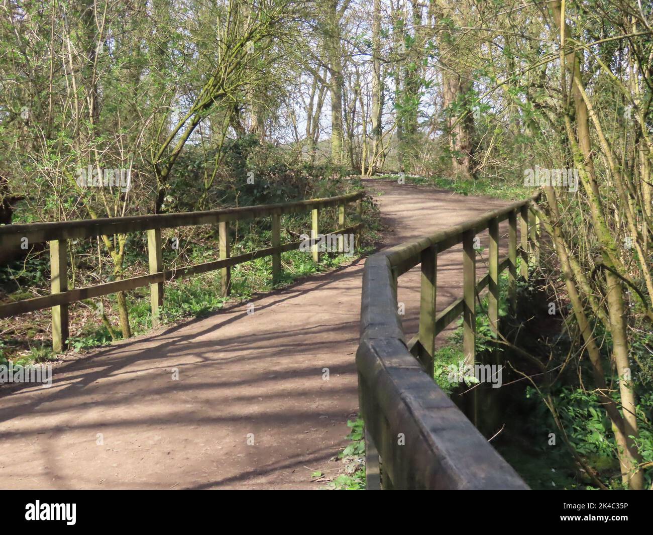 Ventoso sentiero attraverso Northwich Woodland in inverno Foto Stock