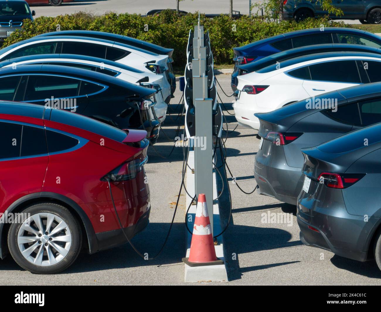 Una fila di vetture Tesla, Model X, Model Y e Model 3, viene rilevata collegata e caricata presso una concessionaria Tesla. Foto Stock