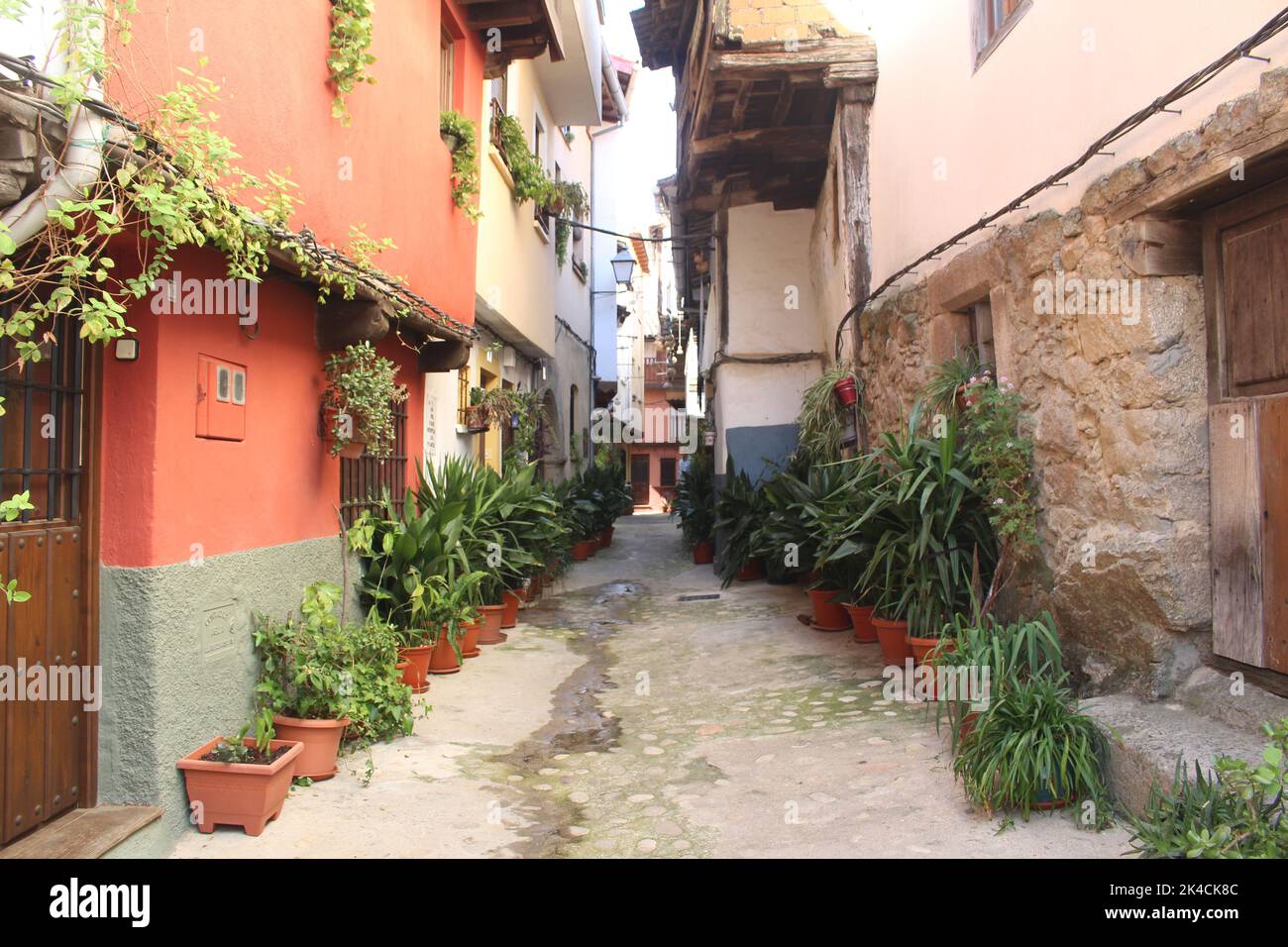 Tipica strada dell'Estremadura, adornata di fiori e piante Foto Stock