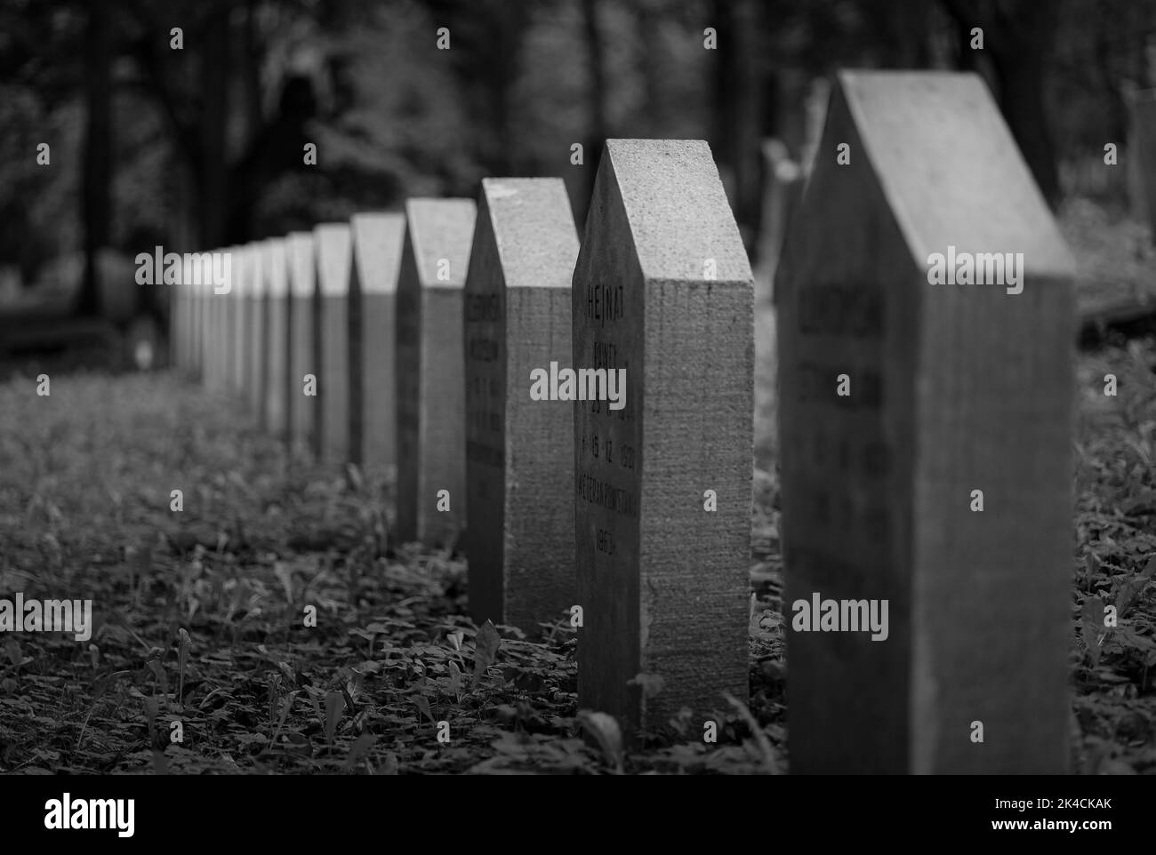 Le lapidi nel cimitero militare presso la cittadella di Poznan, in scala di grigi Foto Stock