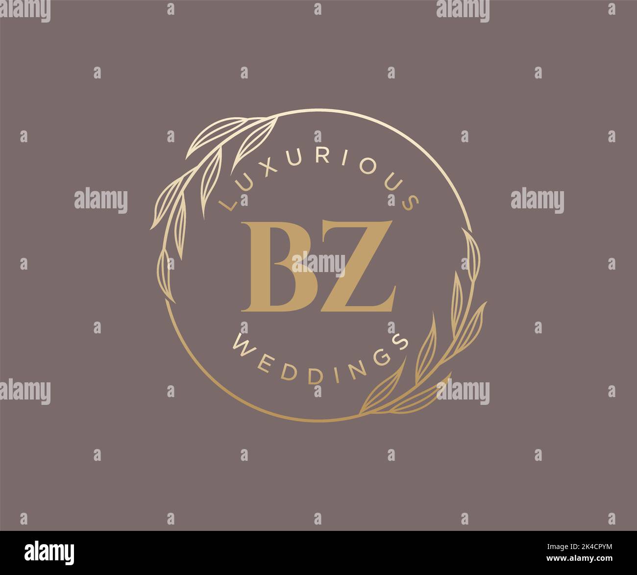 BZ iniziali lettera monogramma modello logo matrimonio, modelli moderni minimalisti e floreali disegnati a mano per carte di invito, Salva la data, elegante Illustrazione Vettoriale