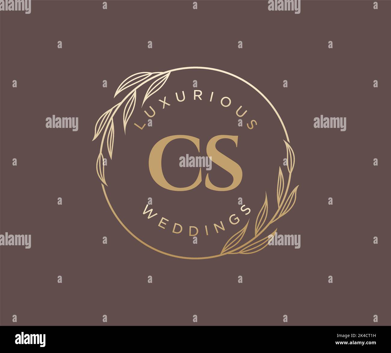 CS iniziali lettera modello logo monogramma matrimonio, modelli moderni minimalisti e floreali disegnati a mano per le carte di invito, Salva la data, elegante Illustrazione Vettoriale