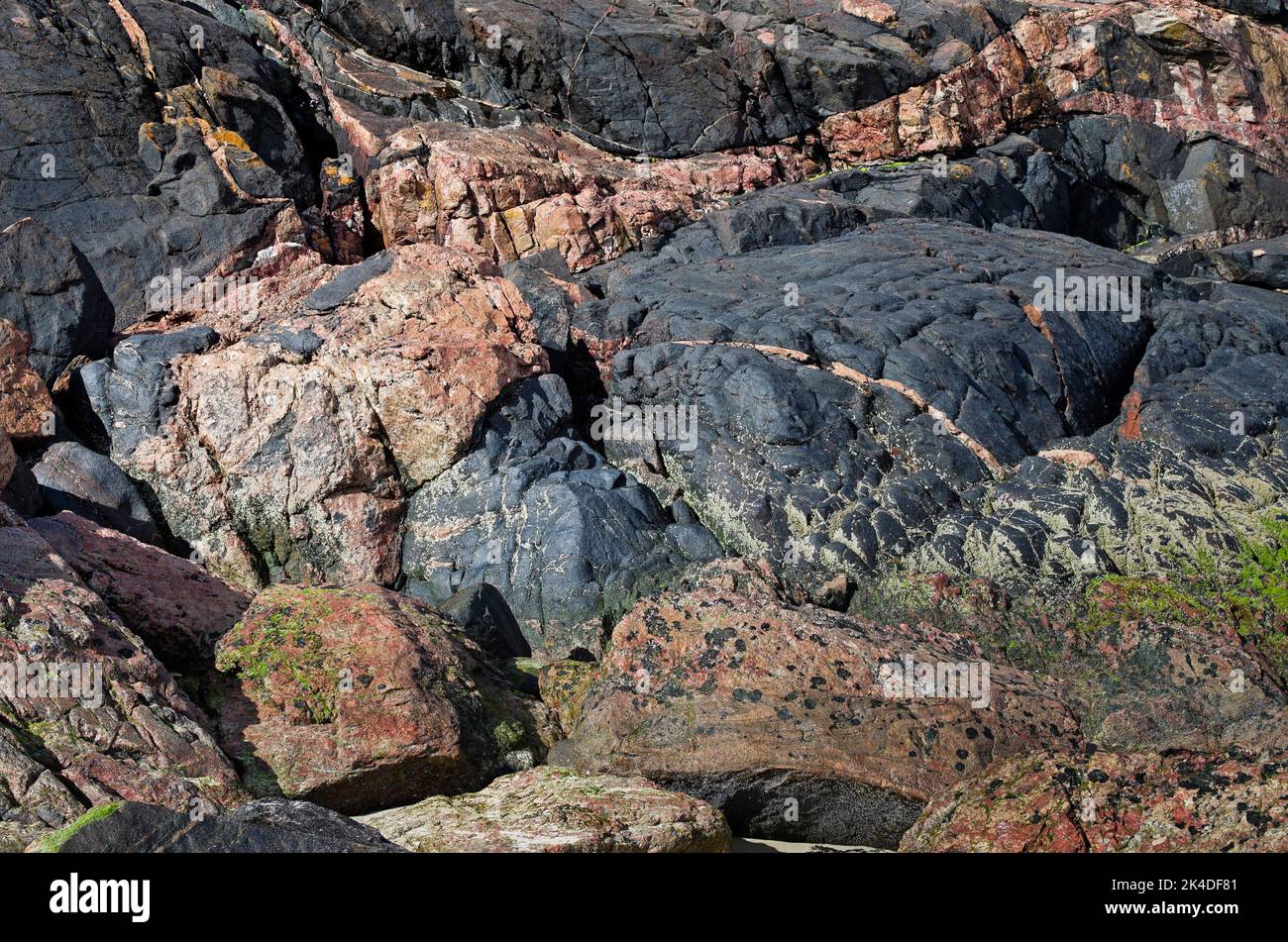 Primo piano delle caotiche lastre di roccia multicolore a righe e testurizzate su una piccola scogliera a Oldshoremore Bay, Sutherland, Scottish Highlands, Scotland U Foto Stock
