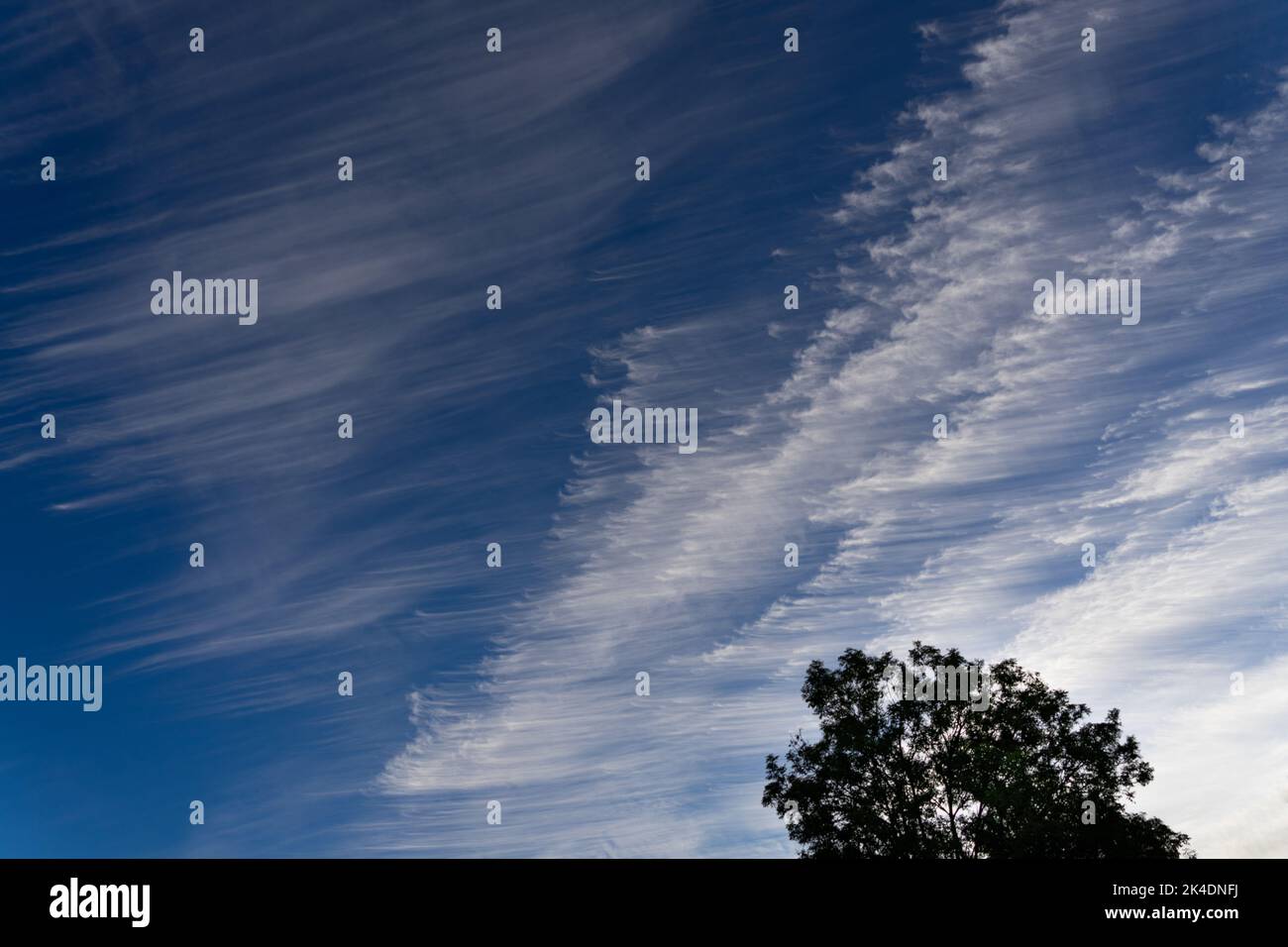Le nuvole strane in un cielo estivo tardo pomeriggio sembrano lana pettinata Foto Stock