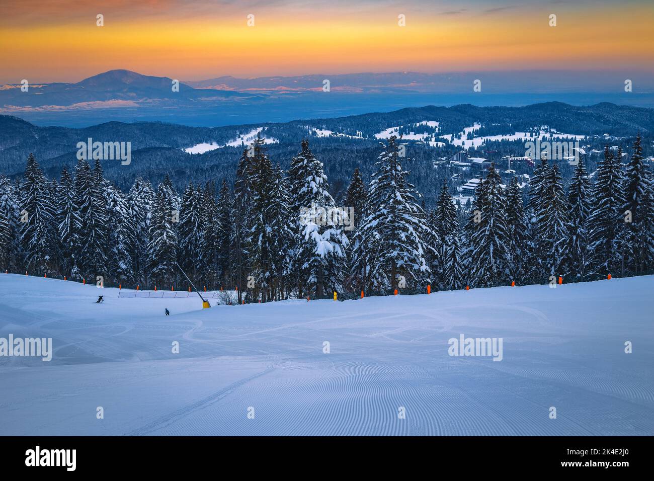 Splendida pineta coperta di neve e ampia pista invernale vuota all'alba, stazione sciistica di Poiana Brasov, Transilvania, Romania, Europa Foto Stock