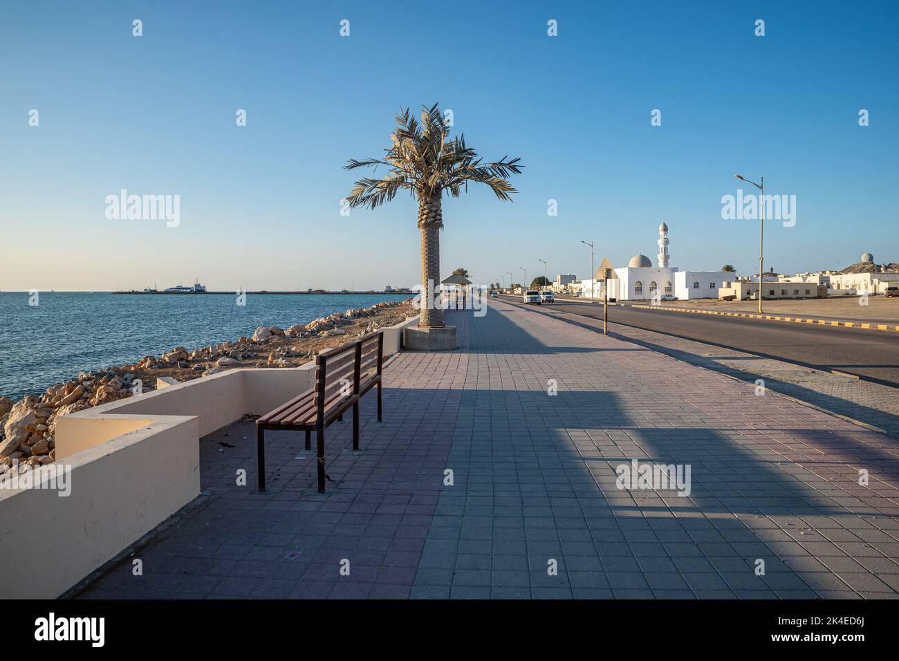 Palma di plastica sulla Corniche di Masirah, Isola di Masirah, Oman Foto Stock