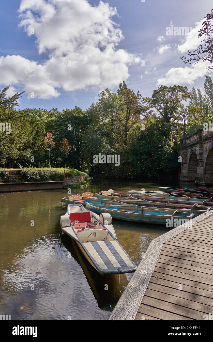 Puntate a noleggio sul Cherwell sotto Magdalen Bridge, Oxford, Regno Unito Foto Stock