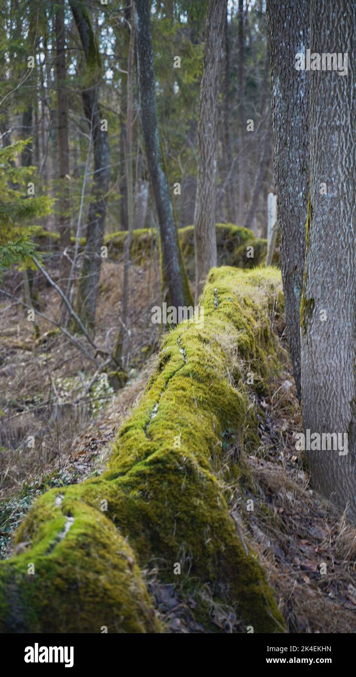 Una formazione naturale di gesso nella Baviera Altmuehltal Foto Stock