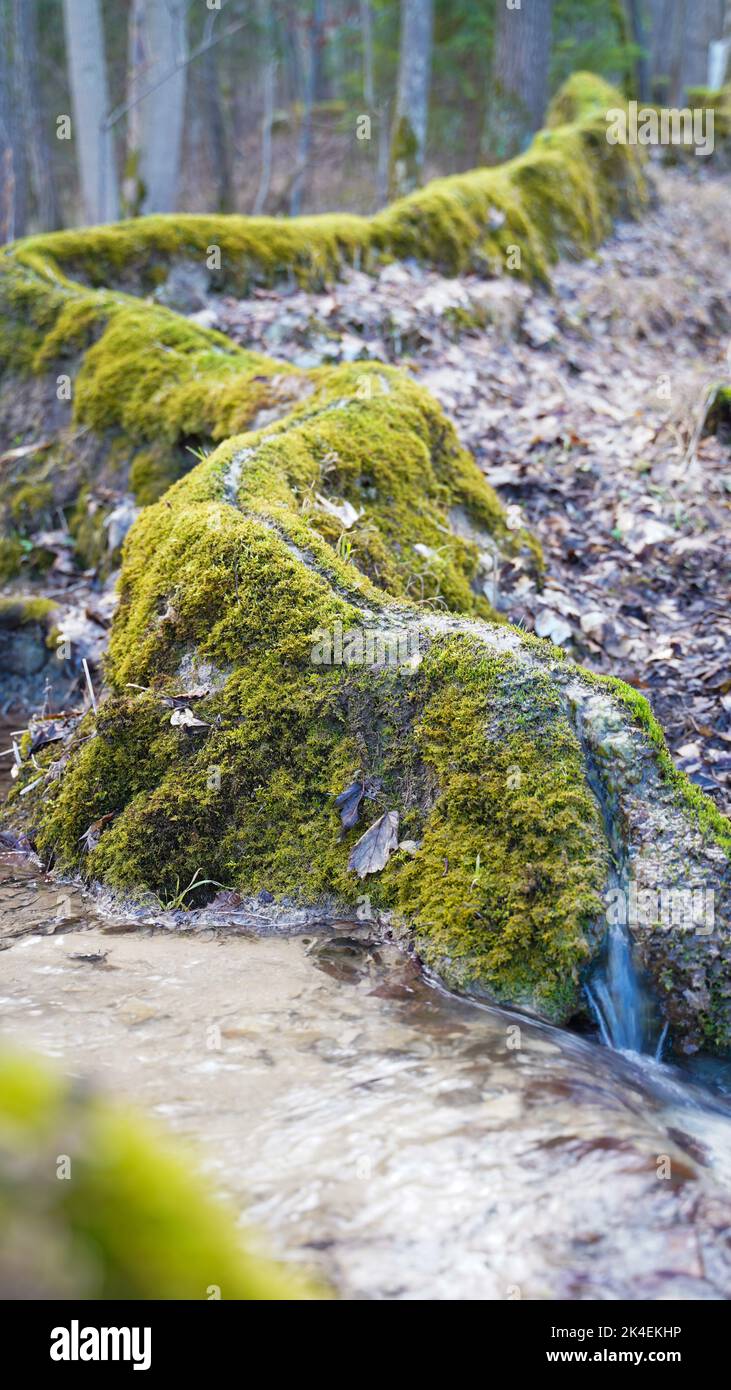 Una formazione naturale di gesso nella Baviera Altmuehltal Foto Stock