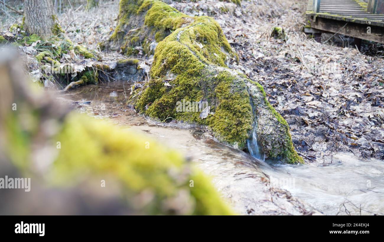 Una formazione naturale di gesso nella Baviera Altmuehltal Foto Stock