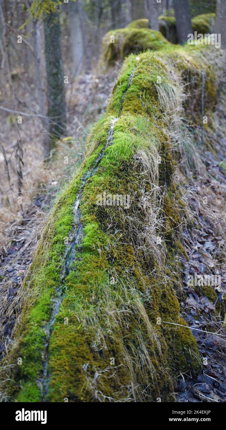 Una formazione naturale di gesso nella Baviera Altmuehltal Foto Stock