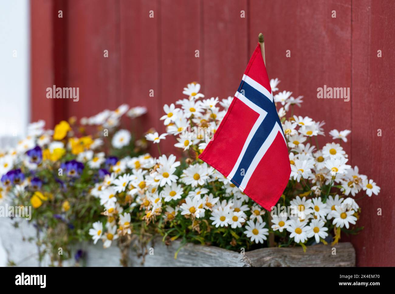Fiori e bandiera norvegese - foto d'archivio Foto Stock