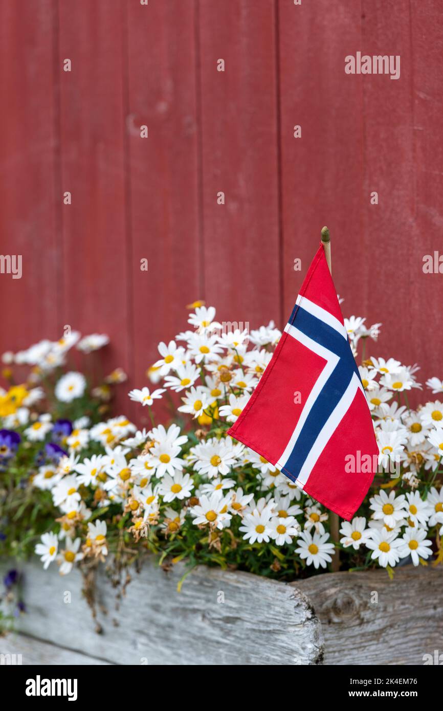 Fiori e bandiera norvegese - foto d'archivio Foto Stock