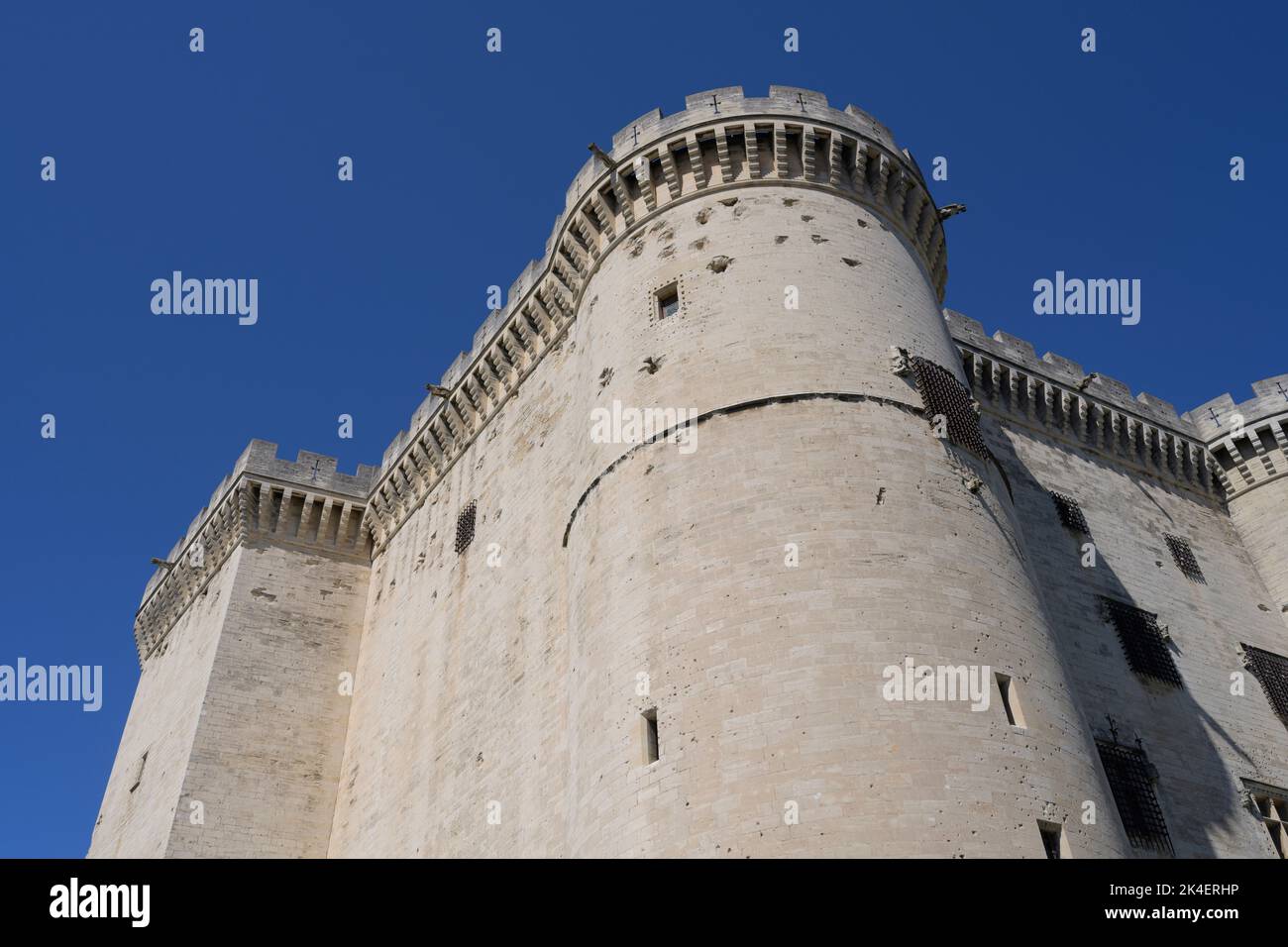 Tarascon Castello, sulle rive del Rodano nel dipartimento Bouches-du-Rhône in Francia Foto Stock