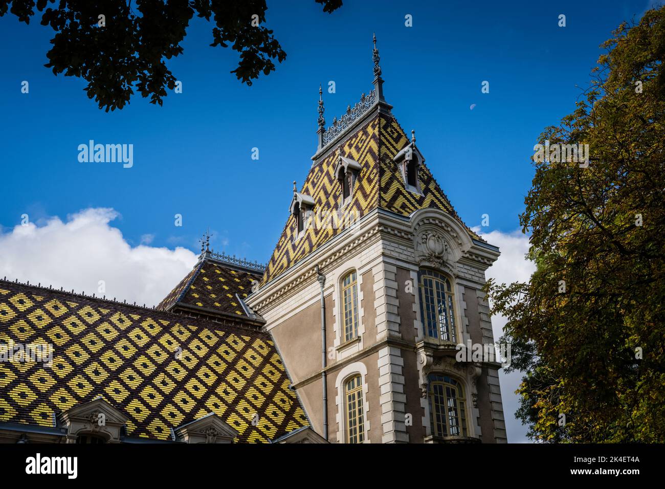 Famoso per i suoi ottimi vini, Chateau Corton C, Borgogna, Francia. Foto Stock