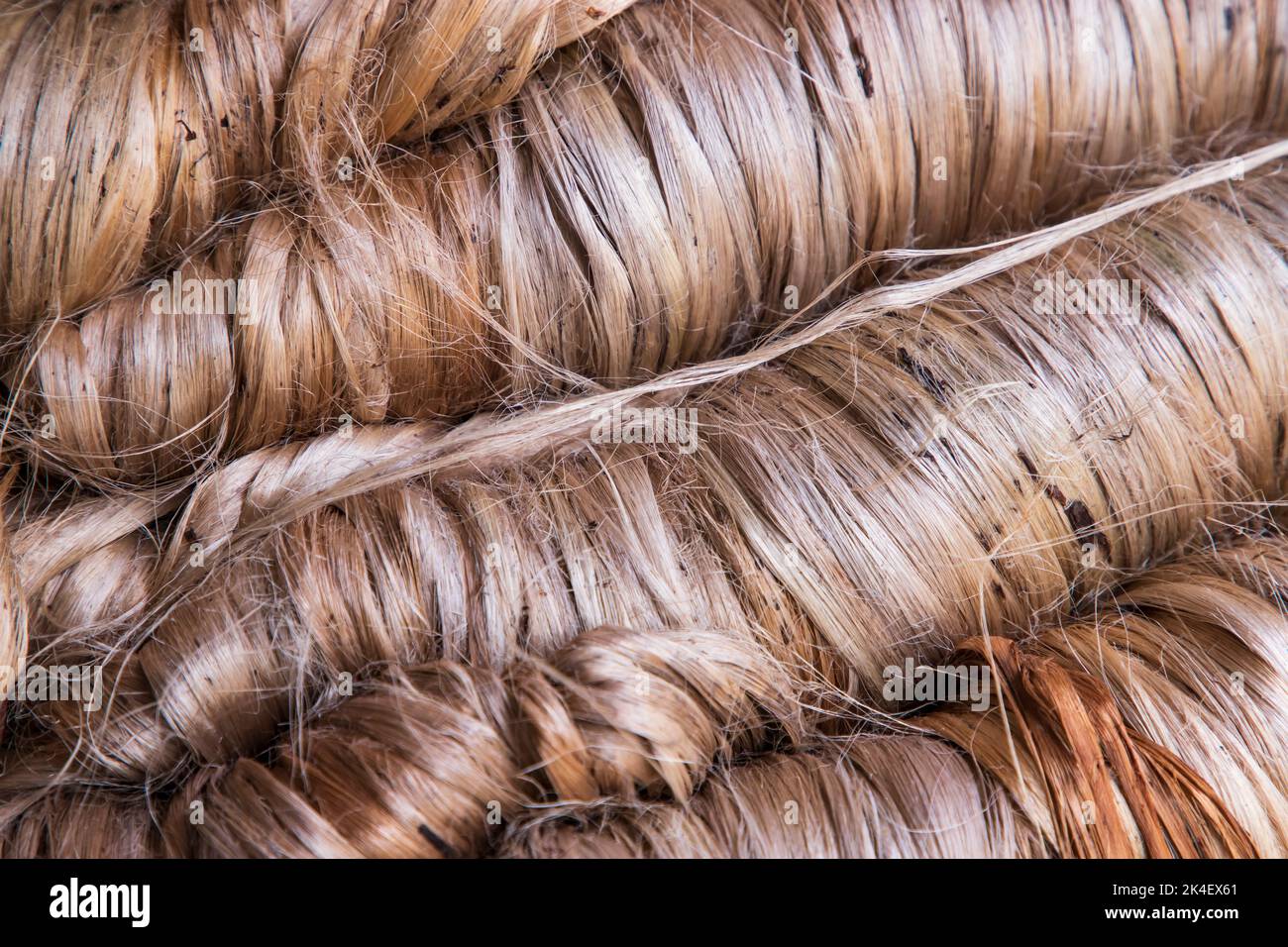 Un fascio spesso di fibra di iuta dorata Texture sfondo Foto Stock