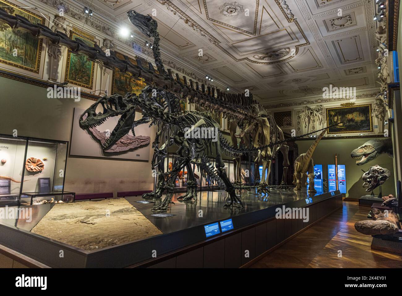 VIENNA, AUSTRIA - 13 SETTEMBRE 2022: Scheletri di dinosauro esposti al Museo di Storia Naturale di Vienna. Foto Stock