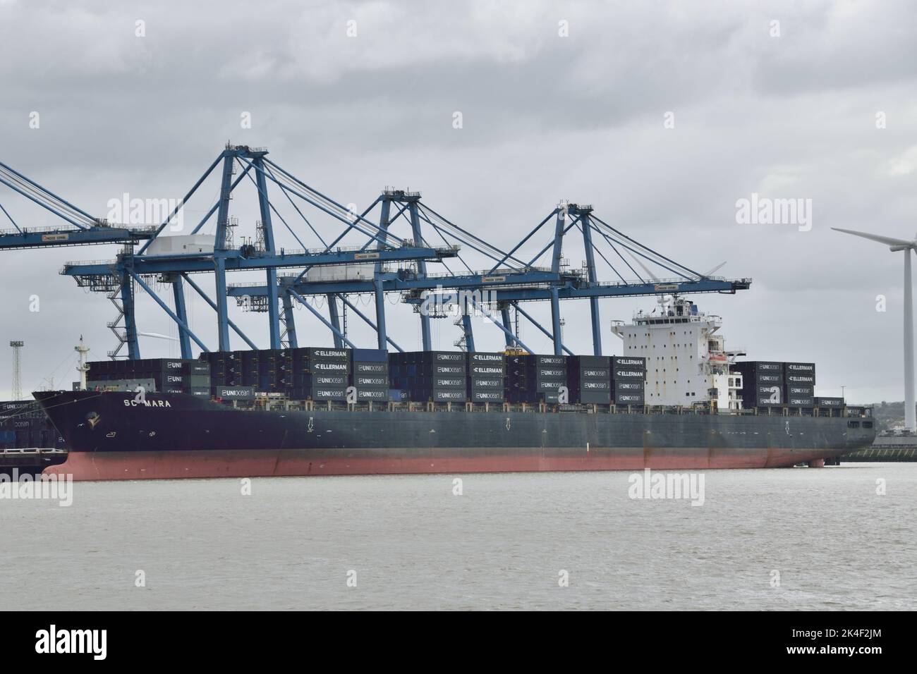 Container Ship SC MARA operata da UniOcean Lines visto scaricare container al porto di Tilbury sul Tamigi Foto Stock