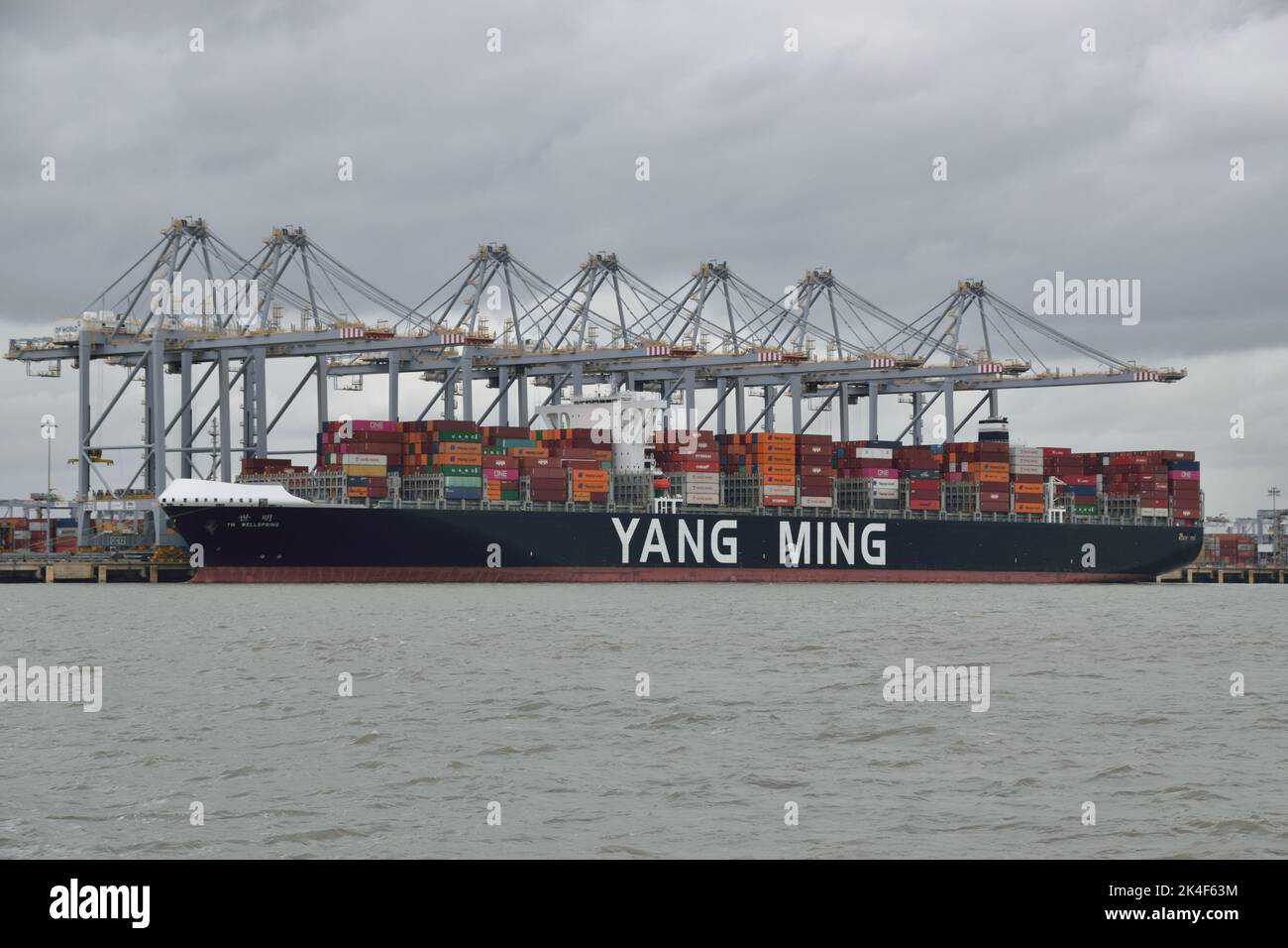 Container Ship YM WELLSPRING trasferendo i container al porto DP World London Gateway sul Tamigi Foto Stock