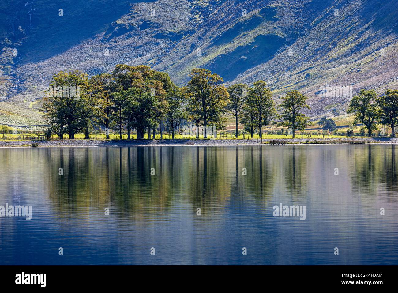 Riflessioni sull'acqua a Buttermere, Lake District, Cumbria, Inghilterra, Regno Unito Foto Stock
