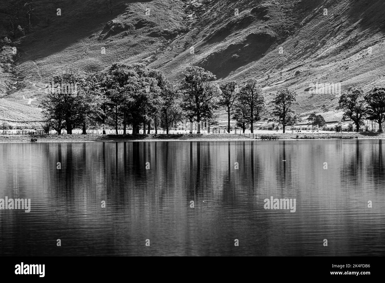 Riflessioni sull'acqua a Buttermere, Lake District, Cumbria, Inghilterra, Regno Unito Foto Stock