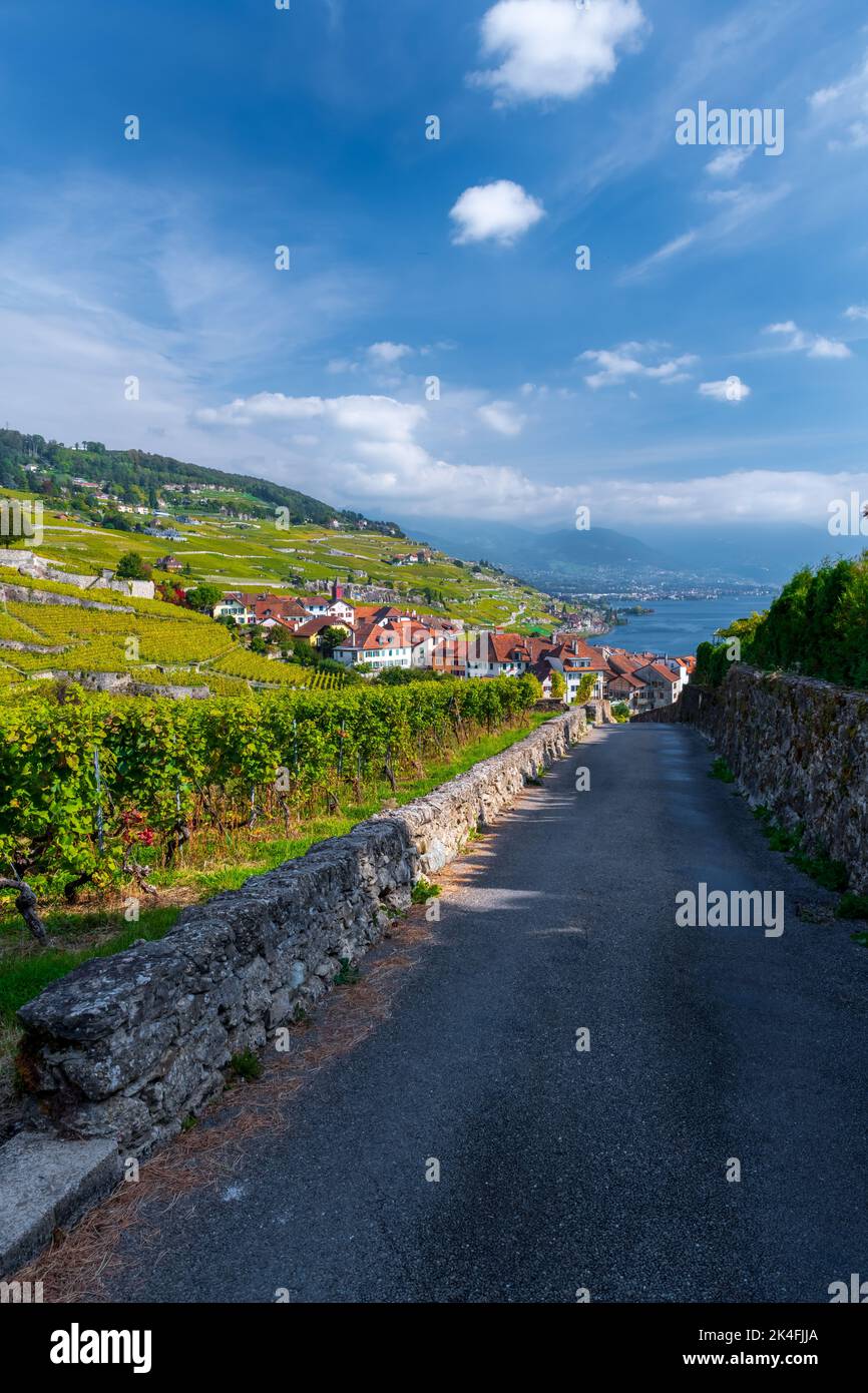 Strada attraverso i vigneti di Lavaux, il lago di Ginevra, e villaggi, Canton Vaud, Svizzera Foto Stock