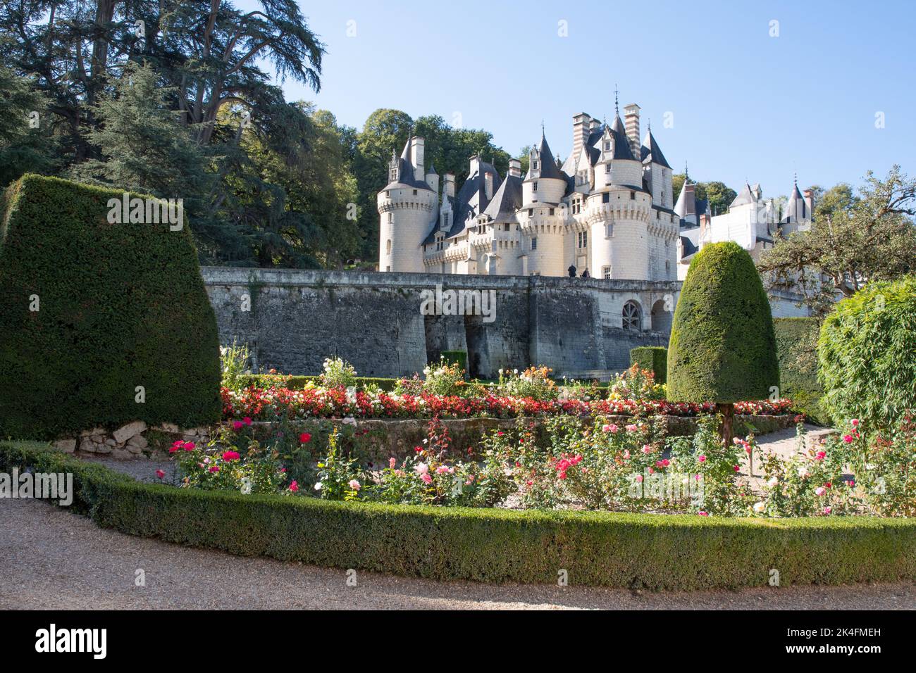 Il giardino di rose a Château d'Ussé Foto Stock