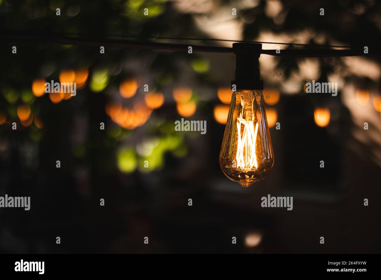 Una decorazione di lampadina ad un giardino Foto Stock