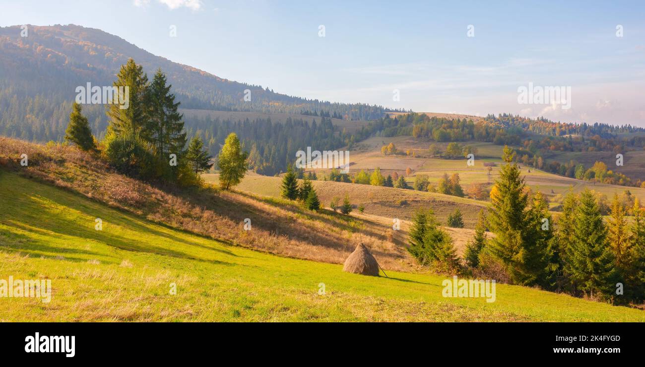 paesaggio rurale in autunno. campi e alberi sulla collina in una luce notturna appollata. meraviglioso paesaggio autunnale soleggiato della campagna carpaziana Foto Stock