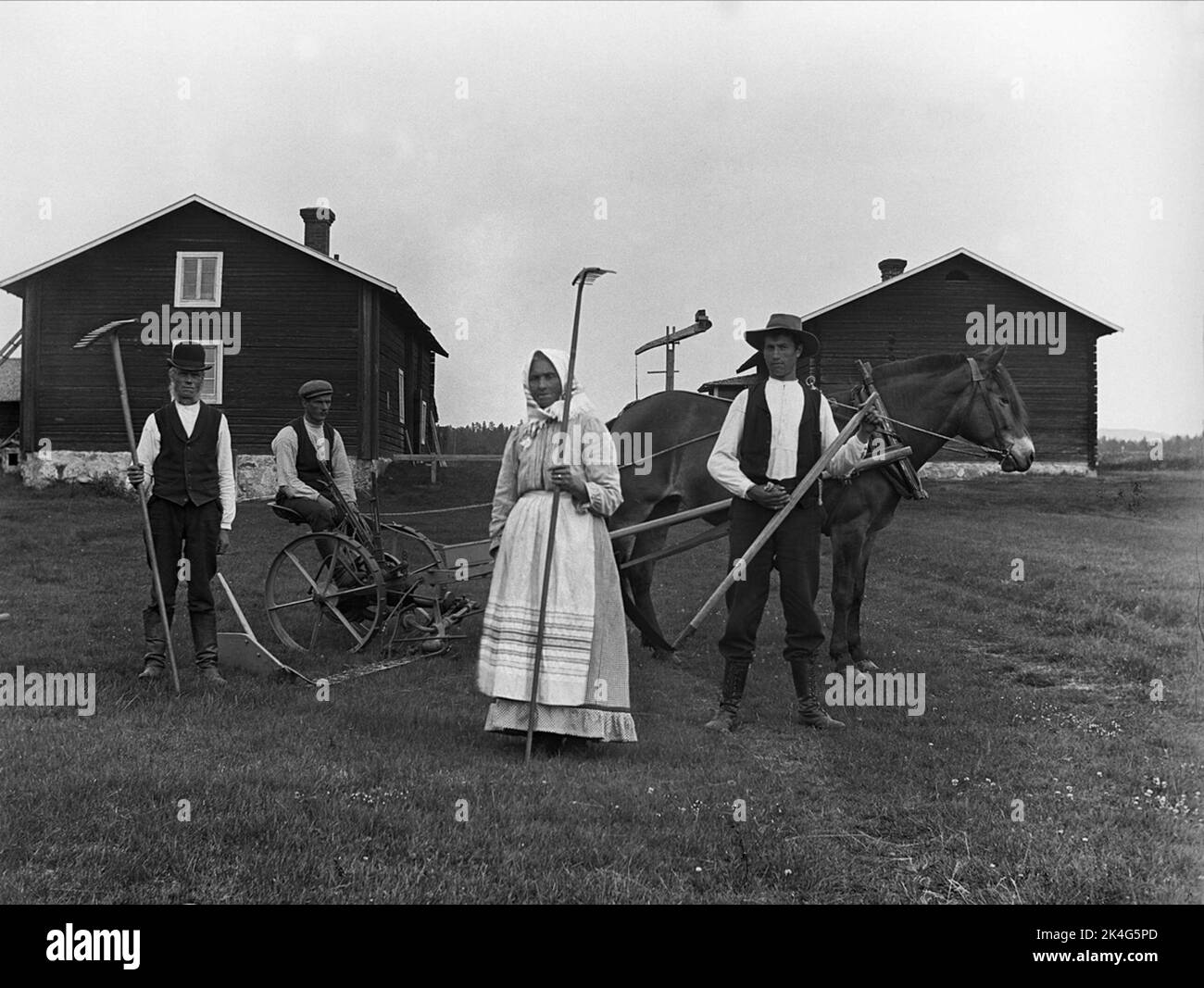 Lavoro di vendemmia al tour esterno, Haverö sn, Medelpad. Un uomo e una donna con i rastrelli nelle sue mani, un uomo siede su un rasaerba, una cosiddetta autodeposizione, che è tesa per un cavallo. Nordico Foto Stock