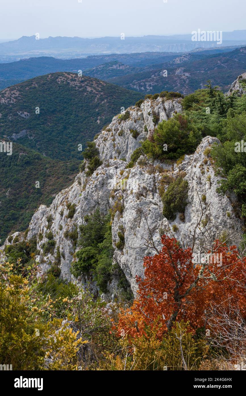 Natura nel sud della Francia: La riserva naturale del Petit Luberon vicino a Bonnieux. Foto Stock