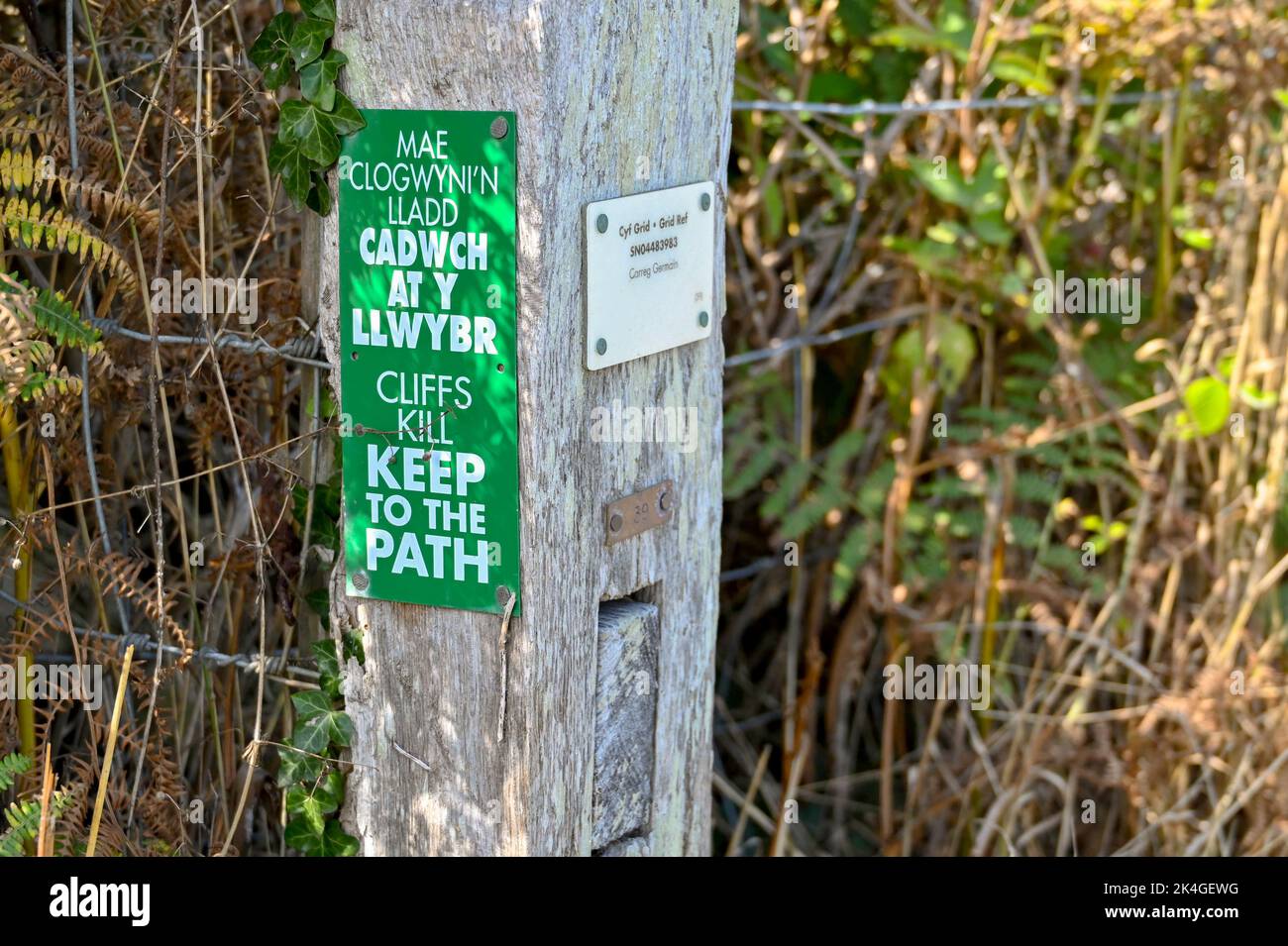 Newport, Pembrokeshire, Galles - Agosto 2022: Vista ravvicinata di un cartello bilingue sul Wales Coastal Path che avverte i visitatori di tenersi lontani dalla scogliera Foto Stock