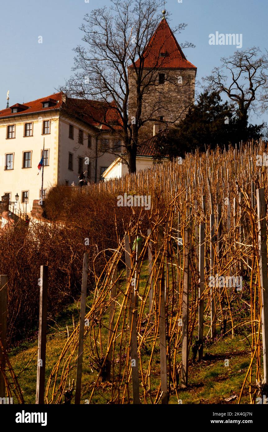 Vigneto di San Venceslao e Palazzo Lubkowicz nel complesso del Castello di Praga nella Repubblica Ceca. Foto Stock