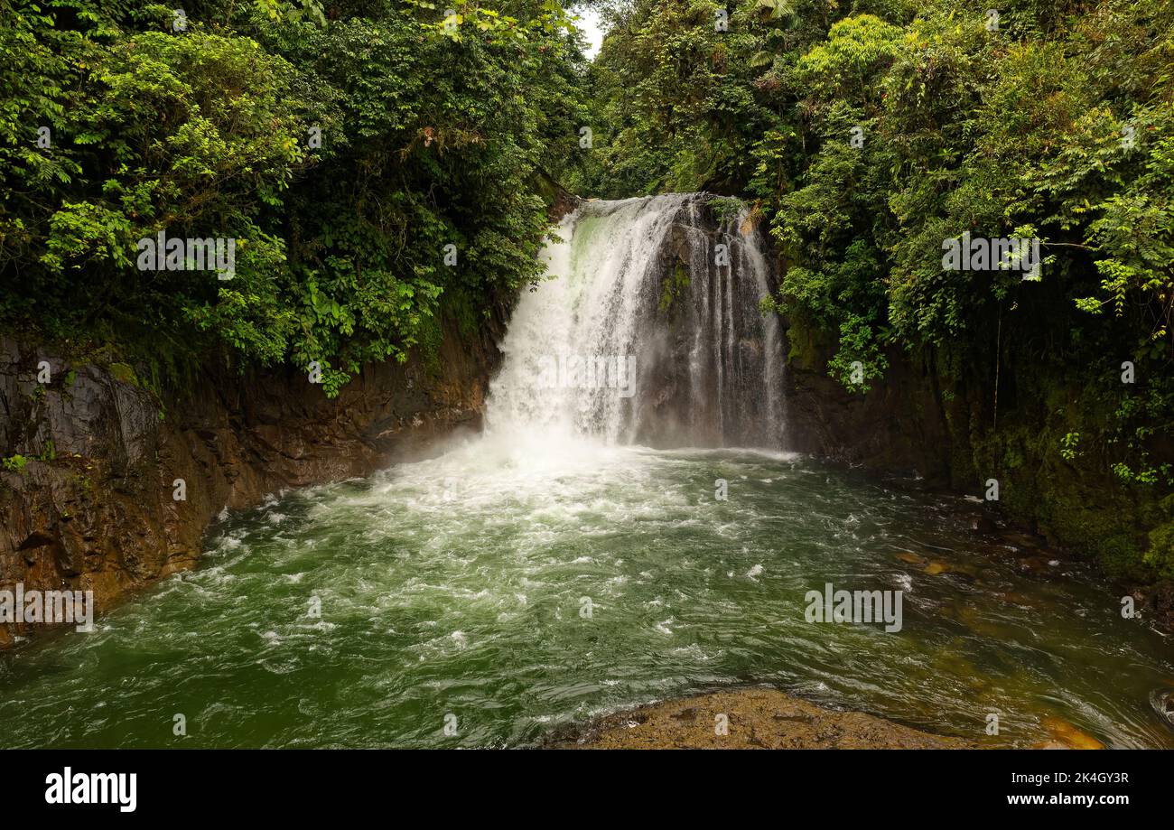 Cascata del paesaggio Cascadas Rio Hollin Ecuador, bella cascata sul fiume Hollin nelle colline amazzoniche ecuadoriane delle Ande. Foto Stock