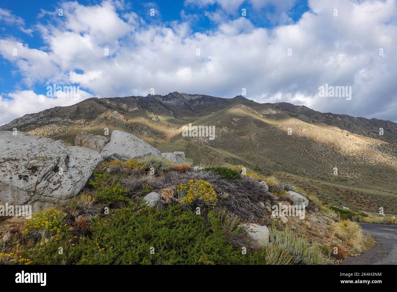 Ai piedi orientali delle montagne della Sierra Nevada, California Foto Stock