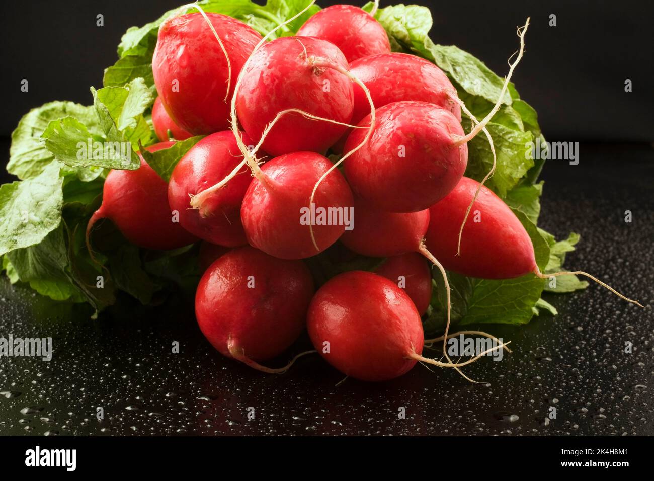 Raphanus sativus raccolto - si irradiano su fondo nero bagnato con goccioline d'acqua. Foto Stock
