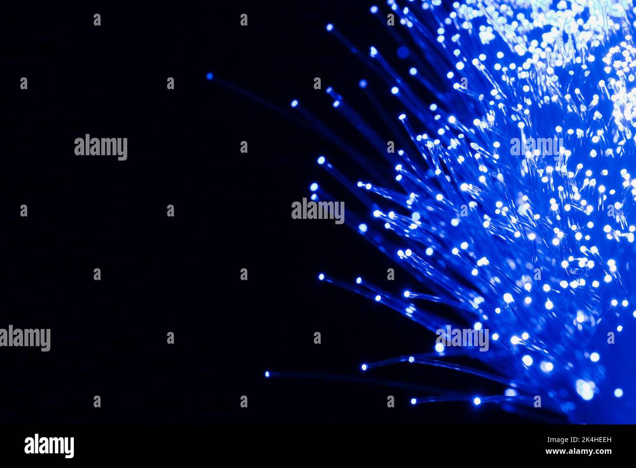 Trefoli in fibra ottica. Foto Stock