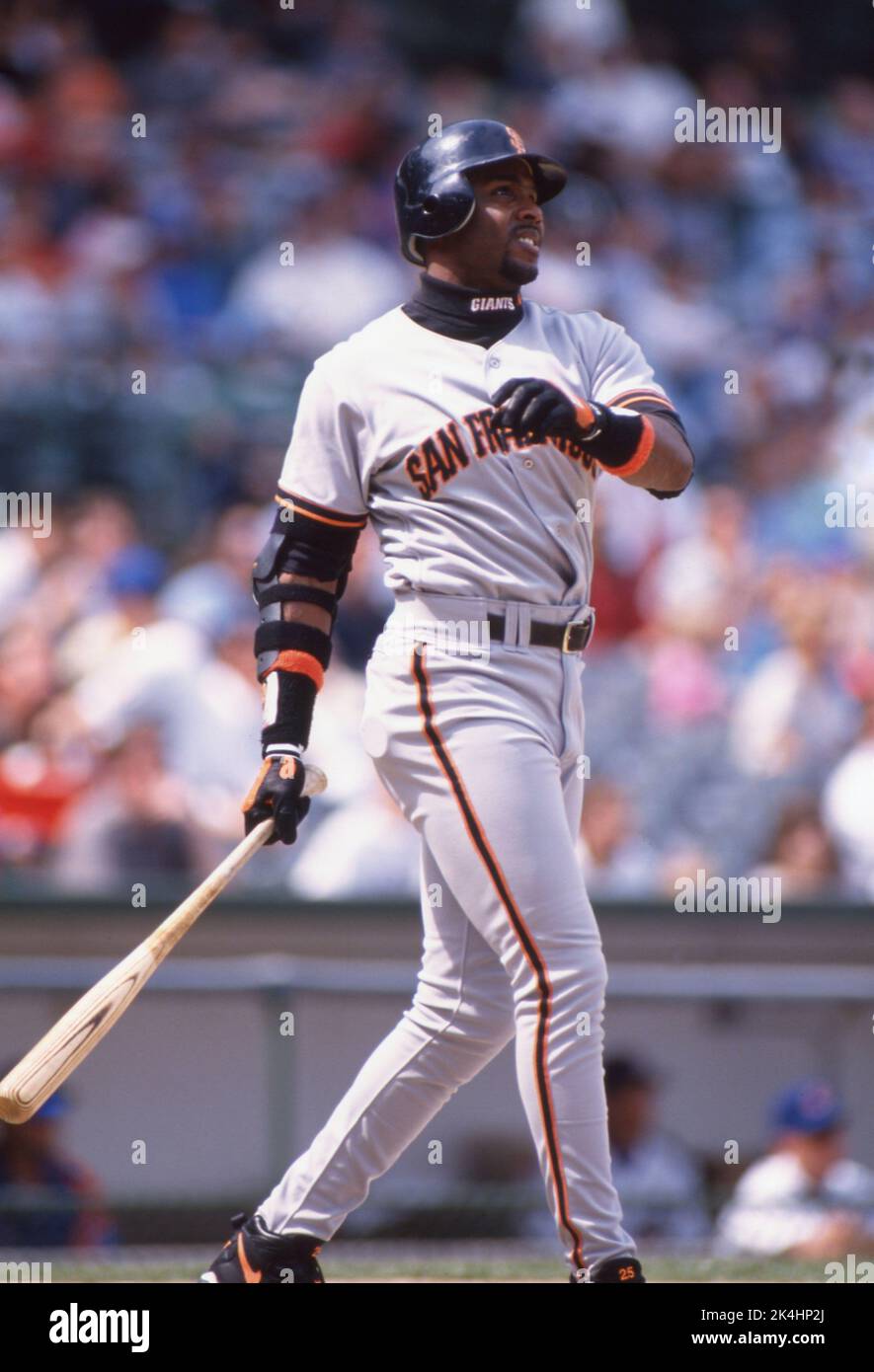 Barry Bonds dei San Francisco Giants fu mostrato in una partita contro i Chicago Cubs a Wrigley Field, California. 1998. Foto Stock Barry Bonds dei San Francisco Giants fu mostrato in una partita contro i Chicago Cubs a Wrigley Field, California. 1998. Foto Stock