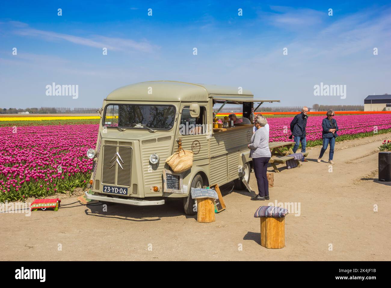 Persone in un camion alimentare al campo tulipani in primavera, Paesi Bassi Foto Stock