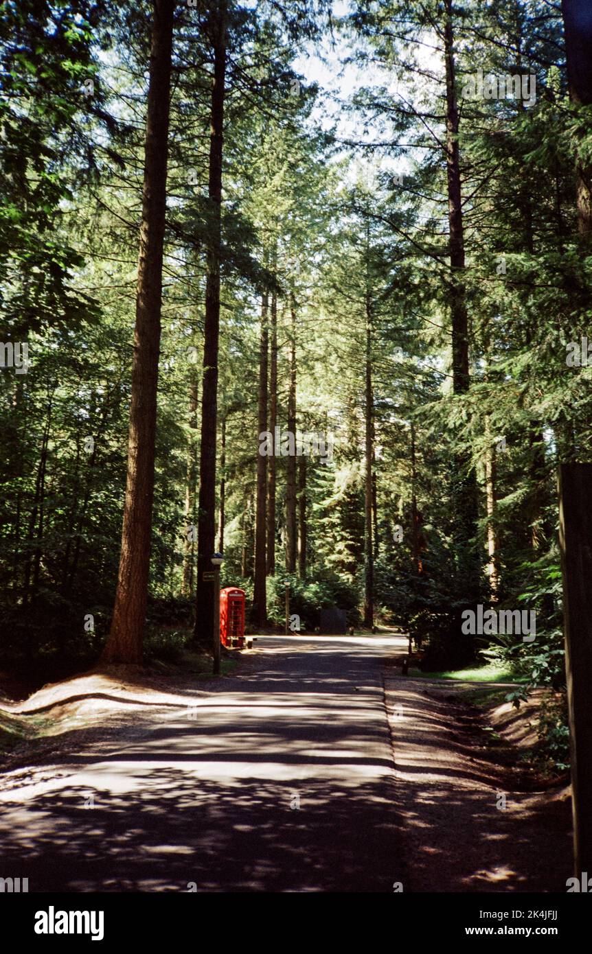 Centre Parcs Longleat, Wiltshire, Inghilterra, Regno Unito Foto Stock