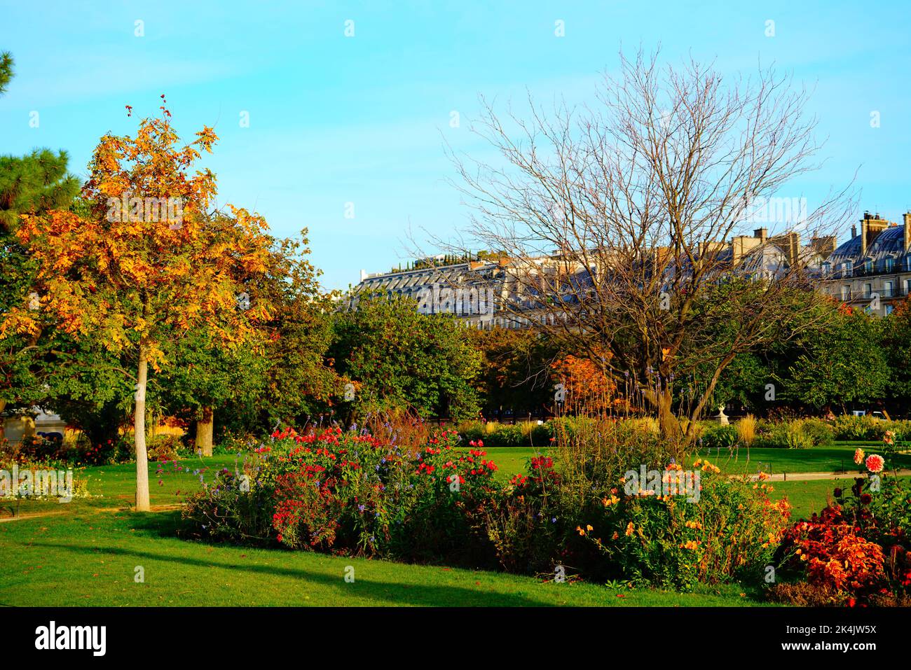 automn a parigi, francia, europa Foto Stock