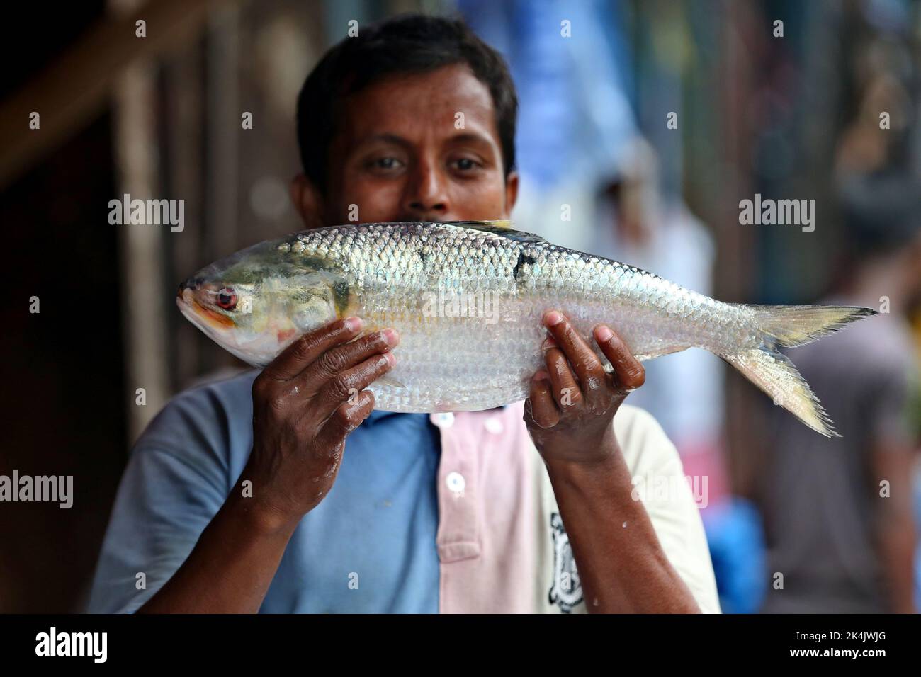 Un venditore al dettaglio di pesce hilsa detiene un pesce del peso di 2500 grammi, con un addebito di TK 1650 per kg. Quest'anno, anche se una quantità significativa di pesce hilsa ha fa Foto Stock