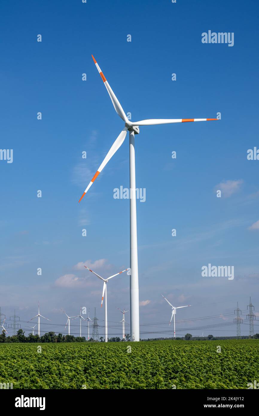 Turbine eoliche con linee elettriche in una bella giornata di sole in Germania Foto Stock