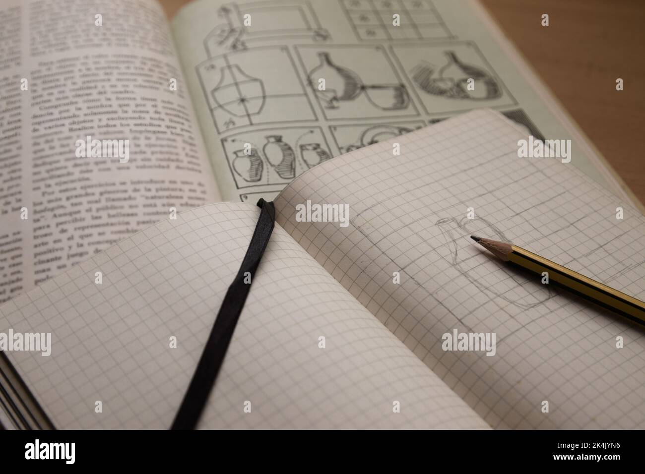 Primo piano di un notebook in cui è presente una copia a matita del disegno da un libro che insegna il disegno Foto Stock Primo piano di un notebook in cui è presente una copia a matita del disegno da un libro che insegna il disegno Foto Stock
