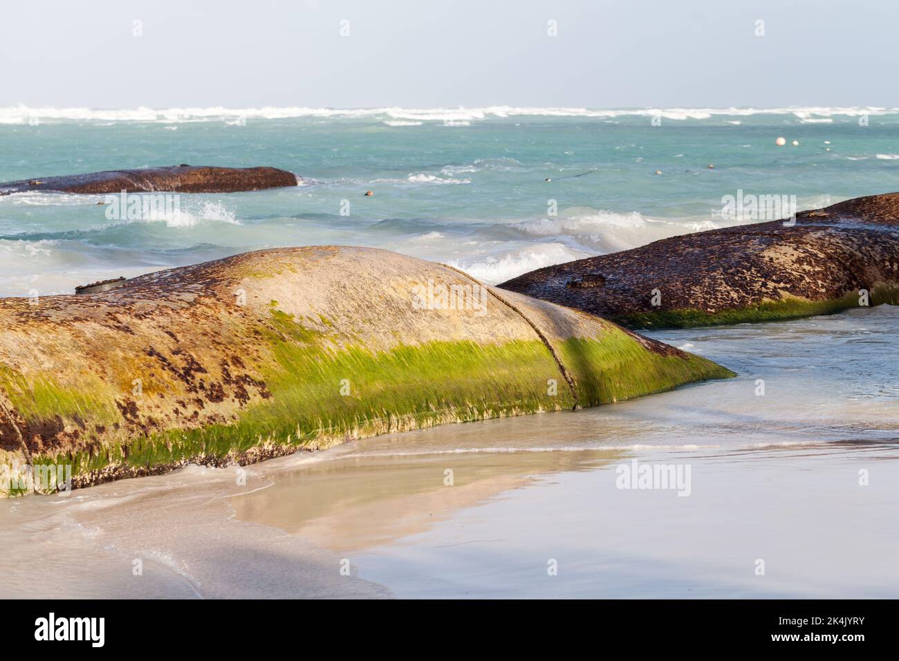 Strutture di protezione in cemento costiero sono sulla spiaggia di Bavaro in una giornata di sole, Repubblica Dominicana Foto Stock