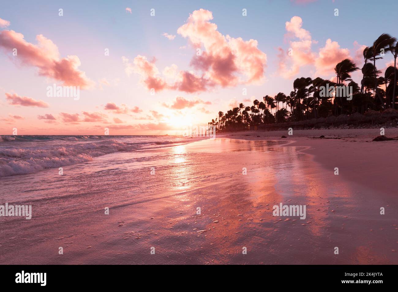 Costa dell'Oceano Atlantico all'alba, Bavaro Beach, Repubblica Dominicana. Paesaggio costiero con sagome di palme e riflessi di sabbia bagnata Foto Stock
